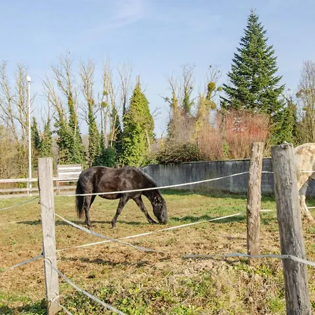 La Cabriole Des Lacs Holiday home *